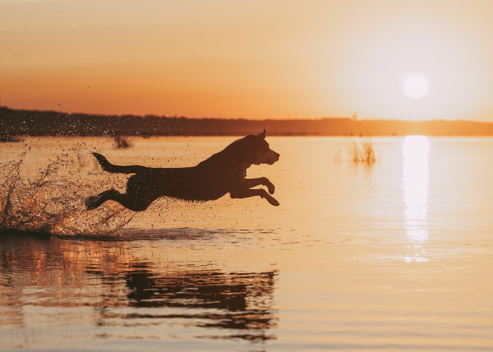 Photograph by Olga Gurevich