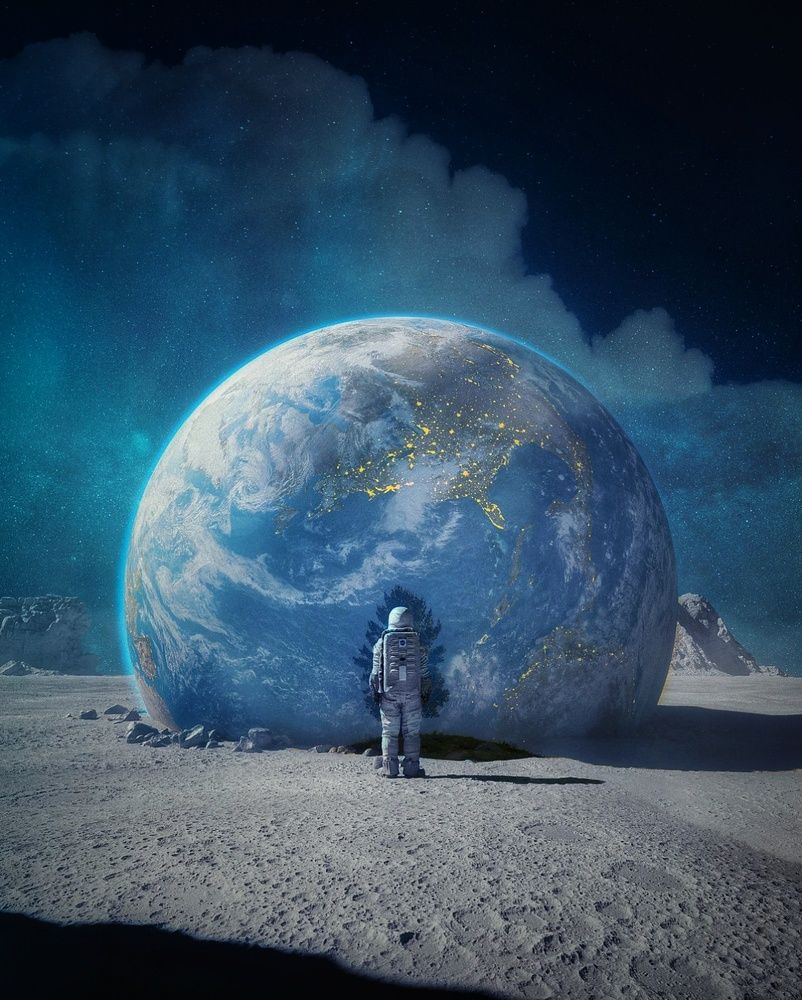 Семена жизни