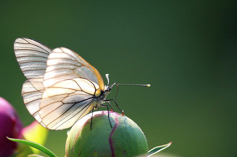 Photograph by Тамара Кремлева