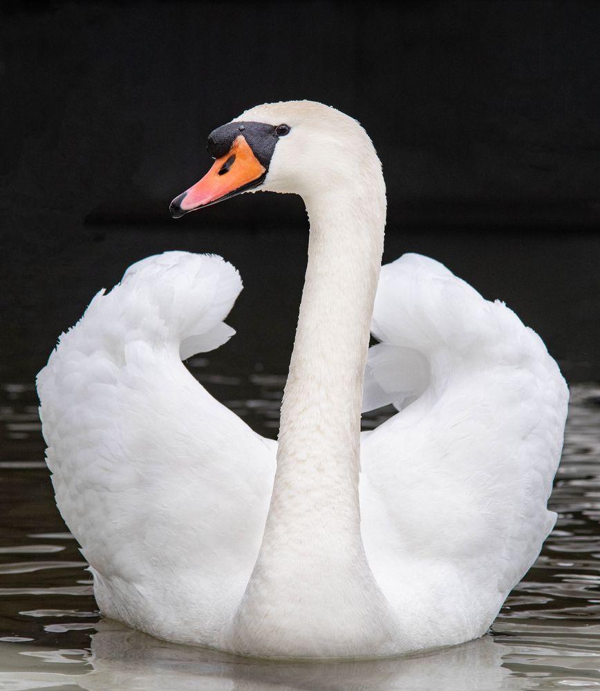 Фотография автора Aliaksandr Shautsou