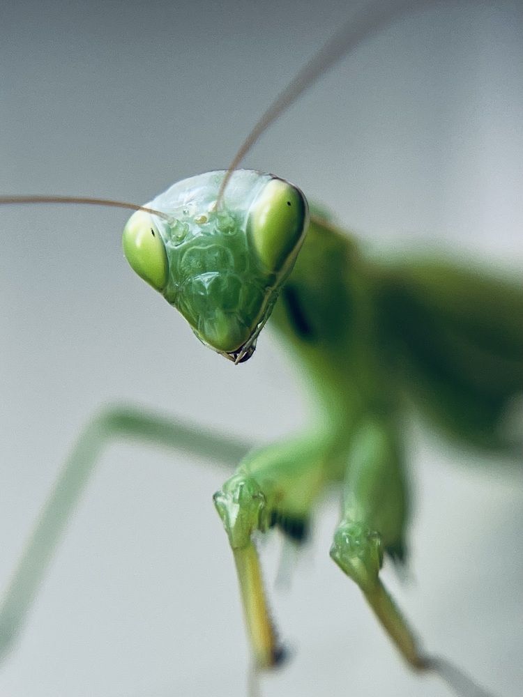 Фотография автора Александра Евченко