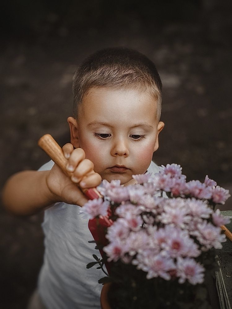 Photograph by Диана Бадеева