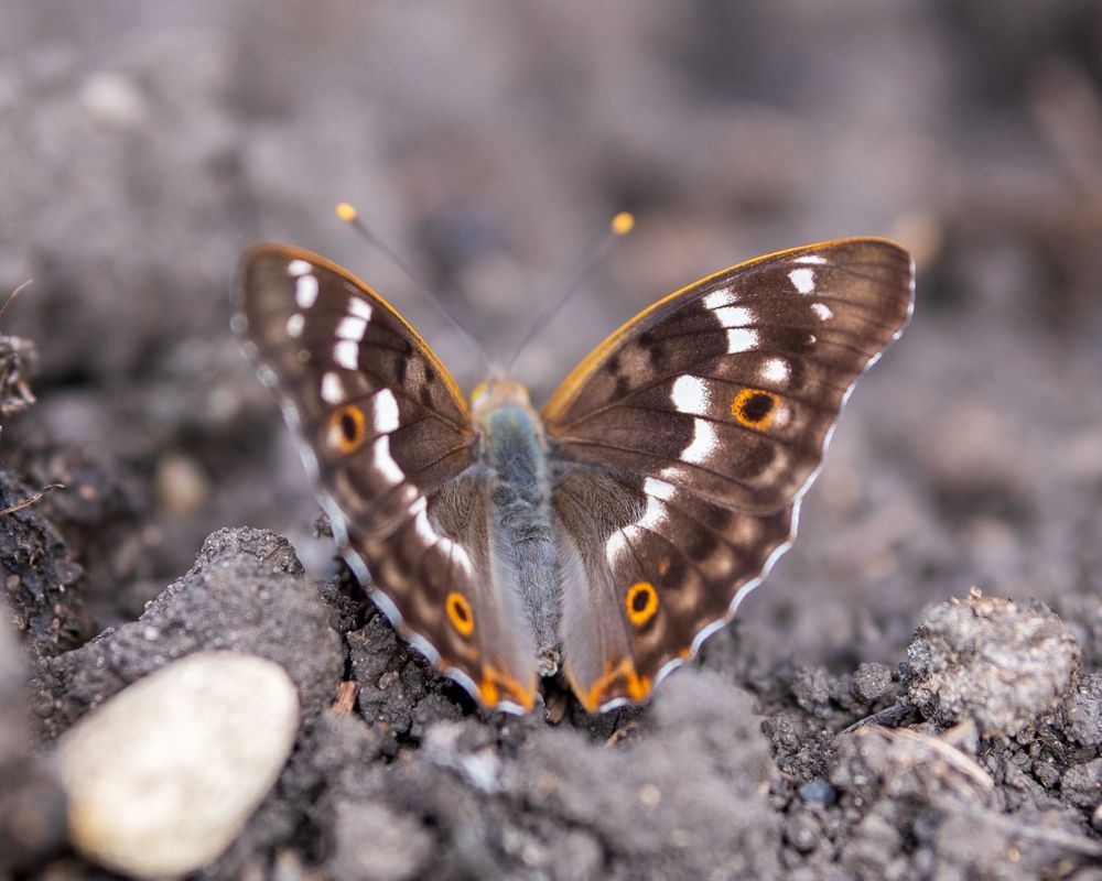 Photograph by Наталья Максимова