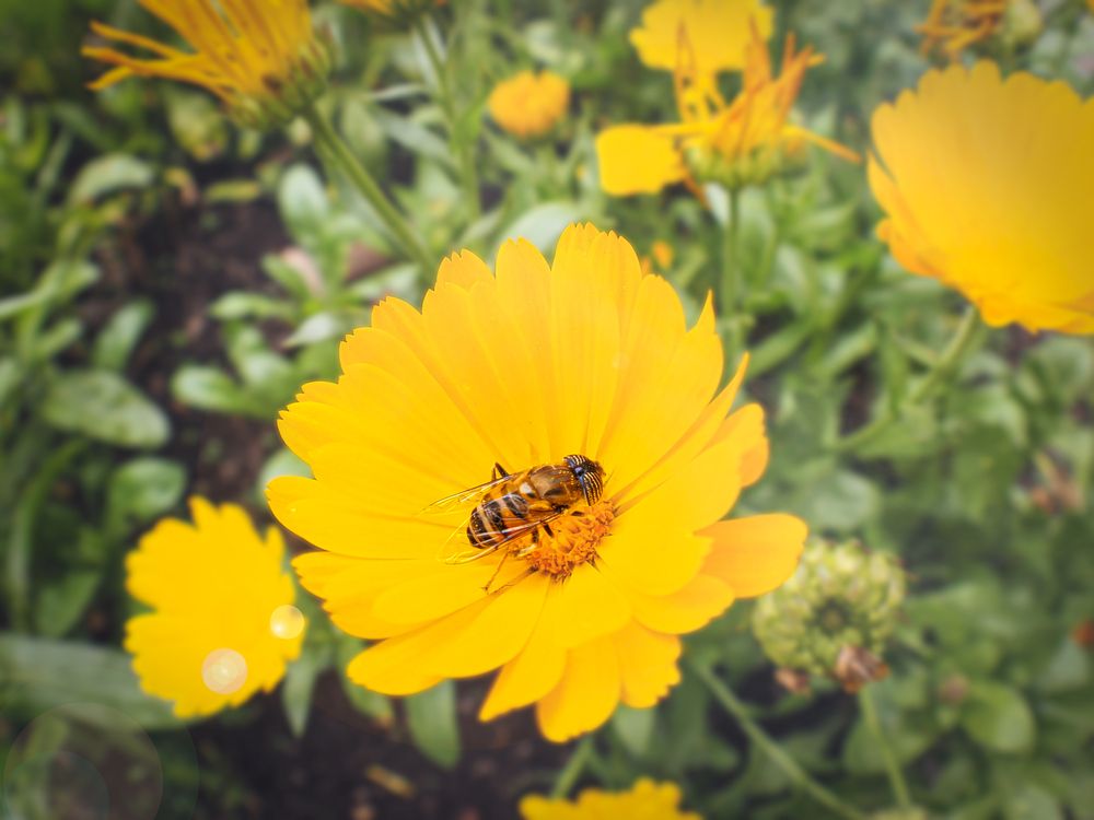 Фотография автора Camilo Rojas