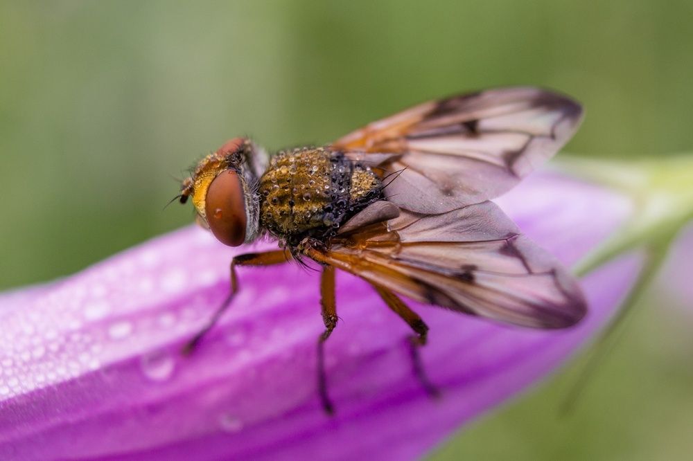 Photograph by Ольга Сергеенко