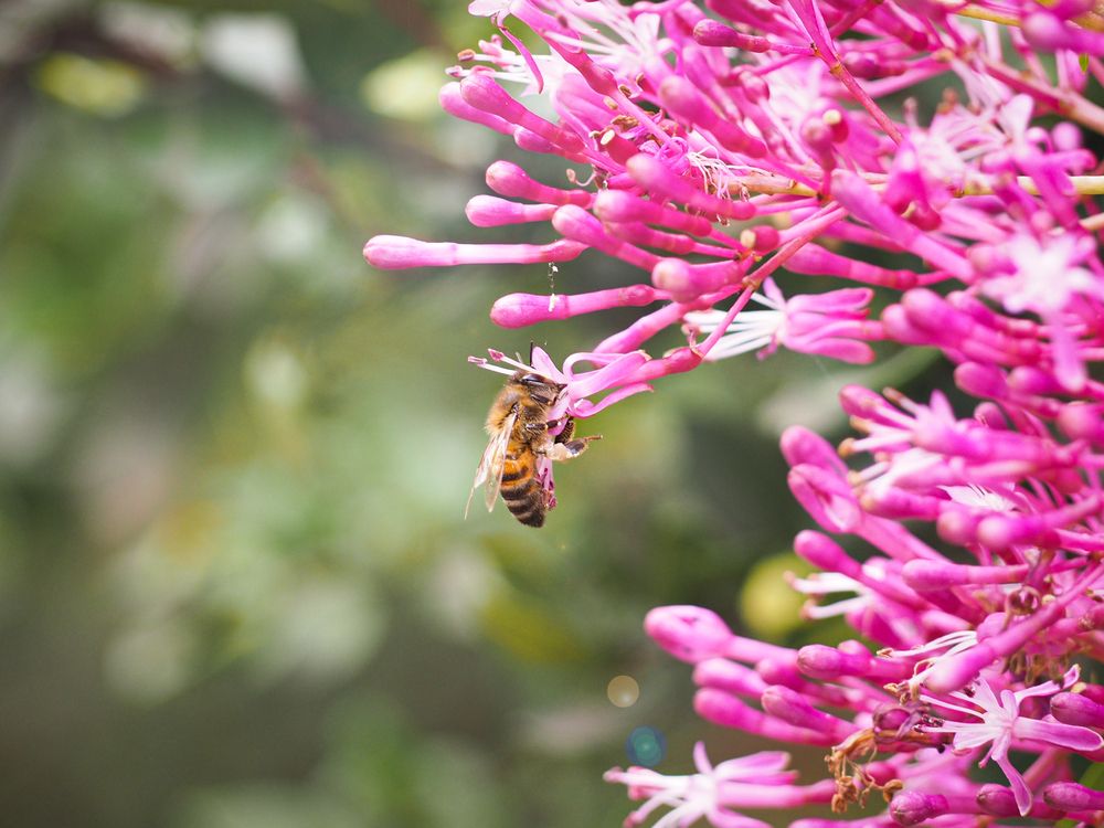 Фотография автора Camilo Rojas