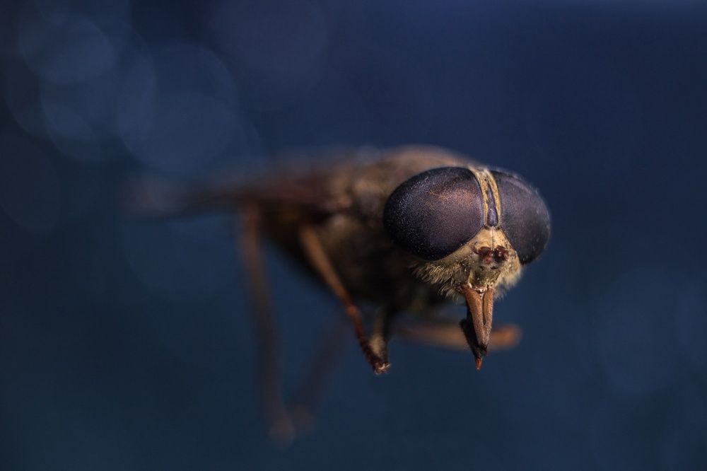 Photograph by Ольга Сергеенко