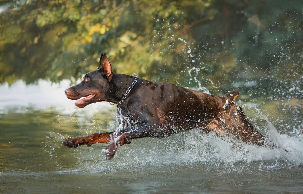 Photograph by Мария Клещенко