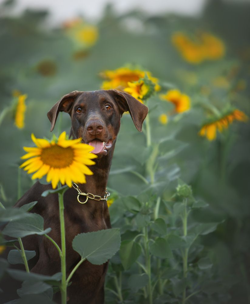 Photograph by Мария Клещенко