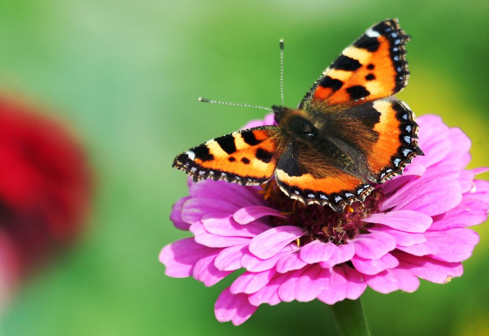 Photograph by Сергей Черных