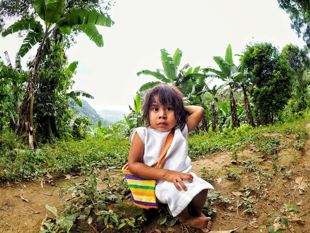 Фотография автора Camilo Rojas