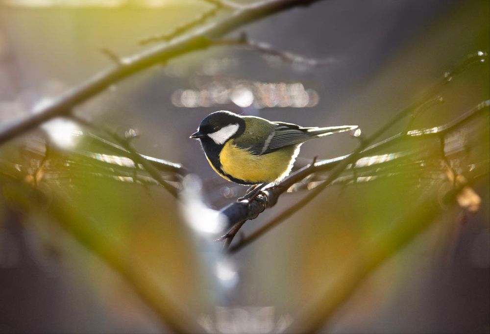 Photograph by Вера Жданова