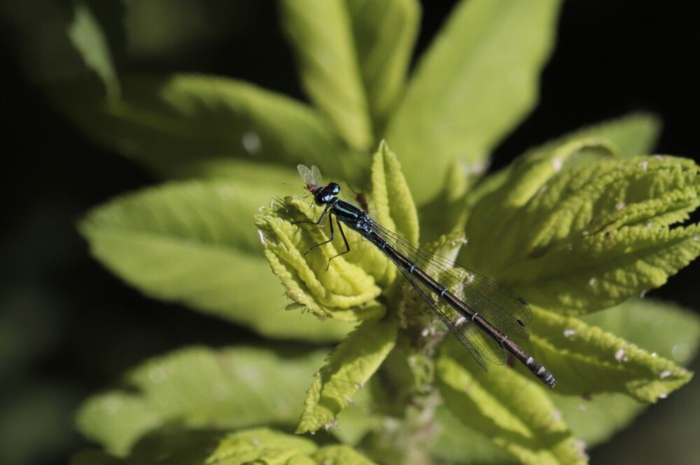 Photograph by Светлана Соколова