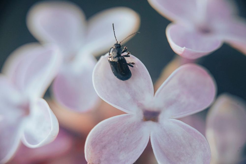 Photograph by Вера Жданова