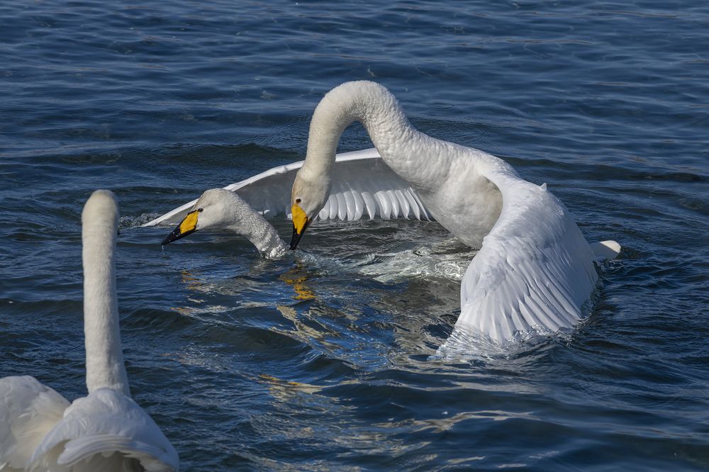 Photograph by Евгений Санин