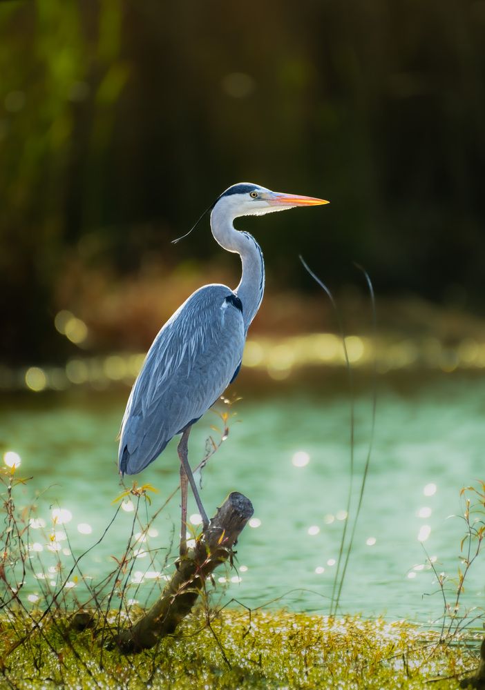 Photograph by Vladyslav Petrenko