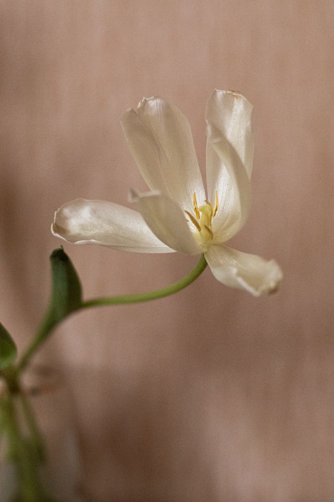 Photograph by Елена Григорьева