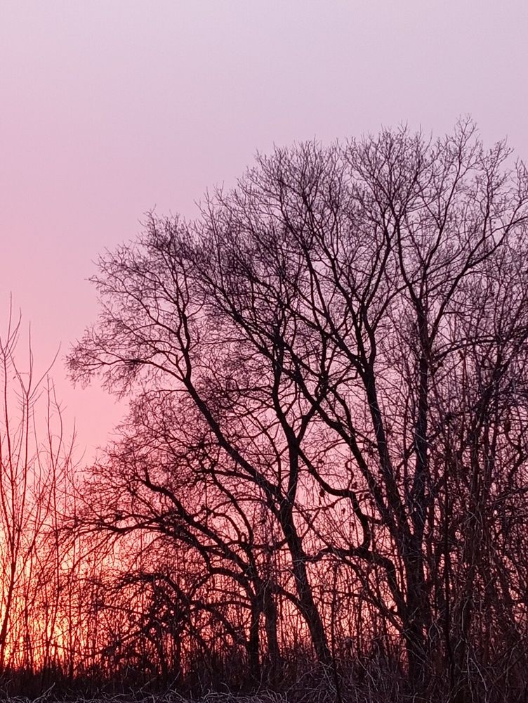 Photograph by Елена Коробченко