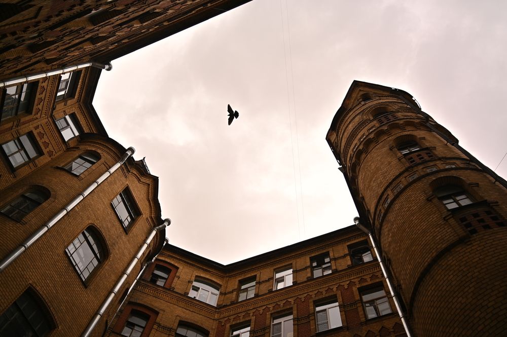 Фотография автора Ilya Str