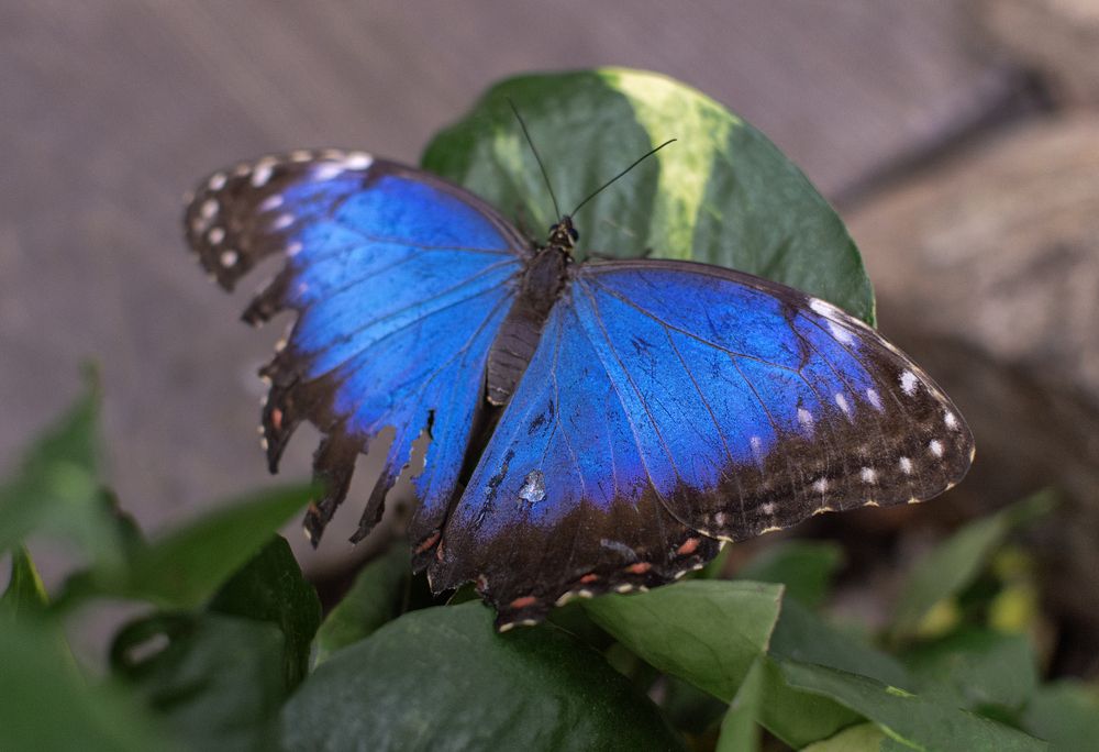 Photograph by Светлана Мельник