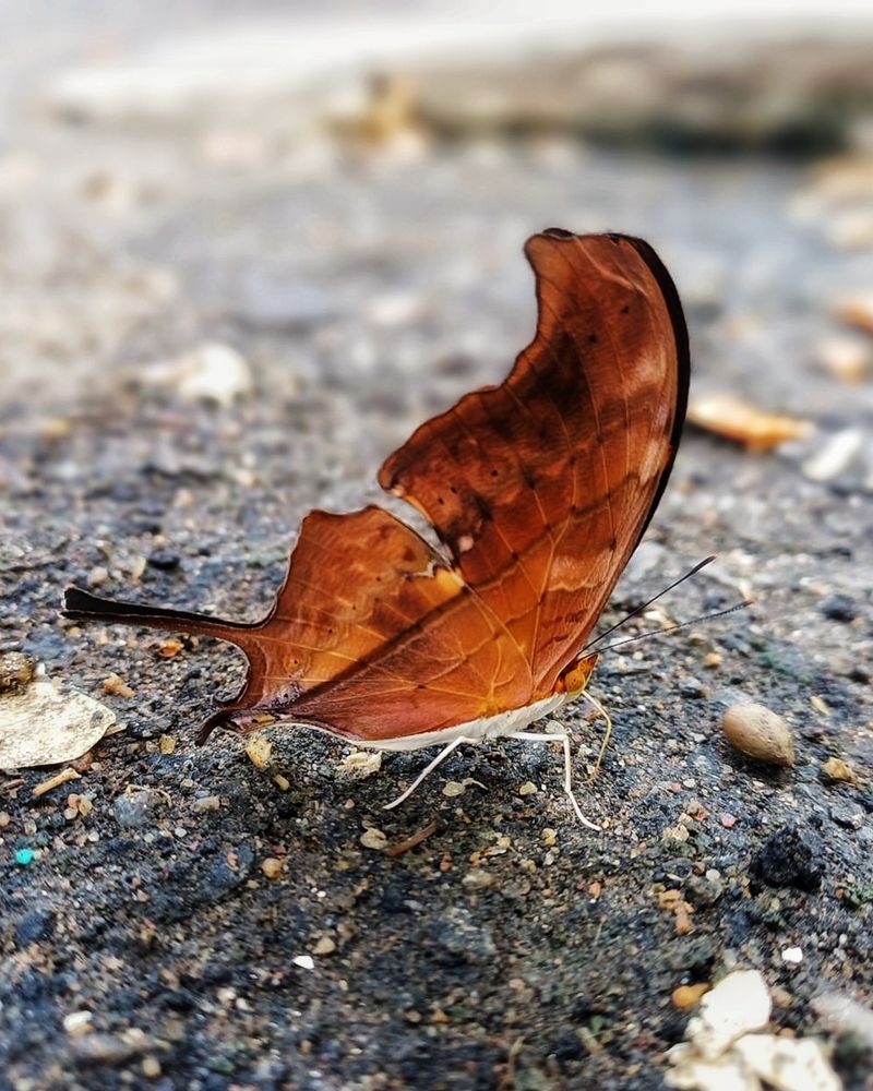 Photograph by adriana menez