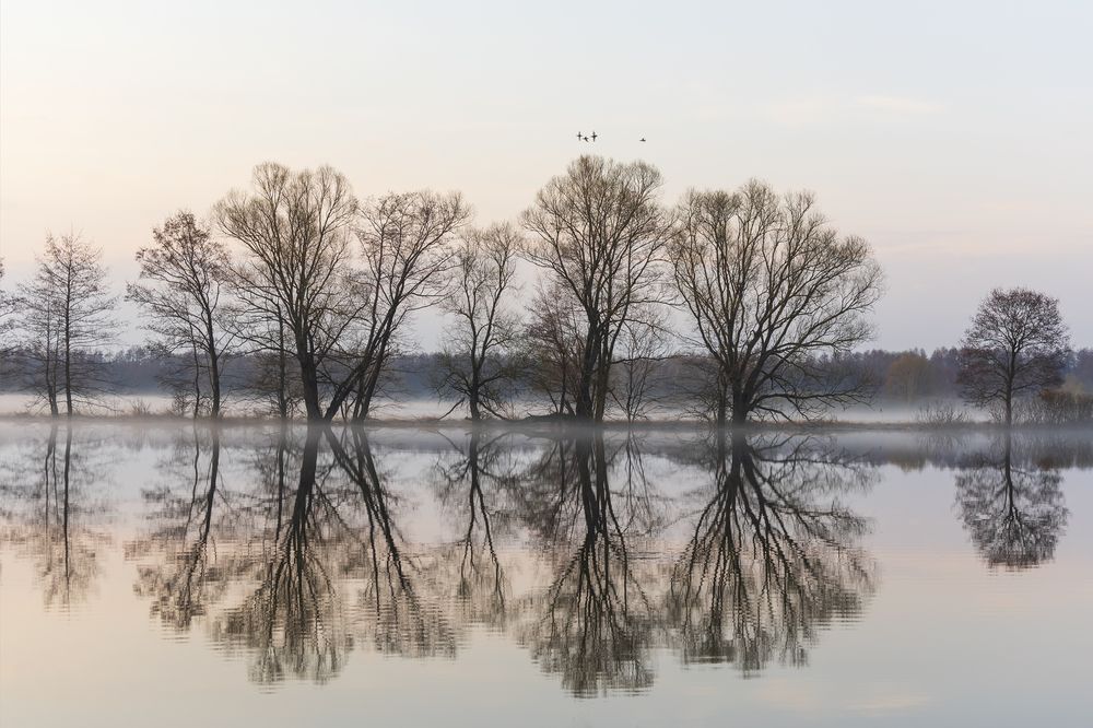 Photograph by Дмитрий Новоселов