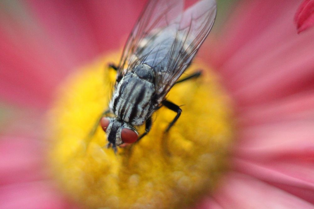 Photograph by Максим Савин