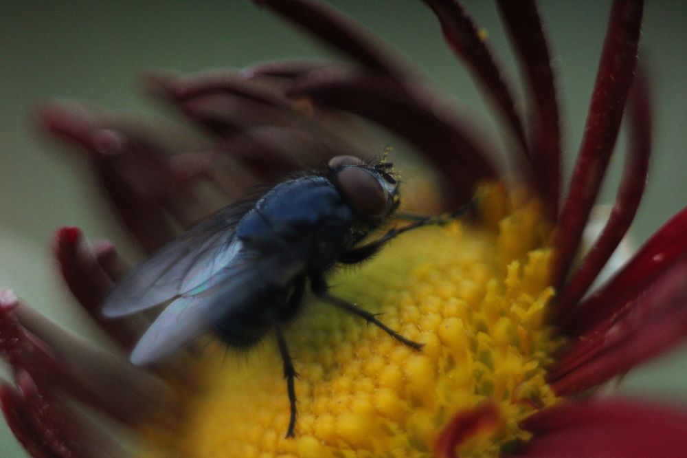 Photograph by Максим Савин