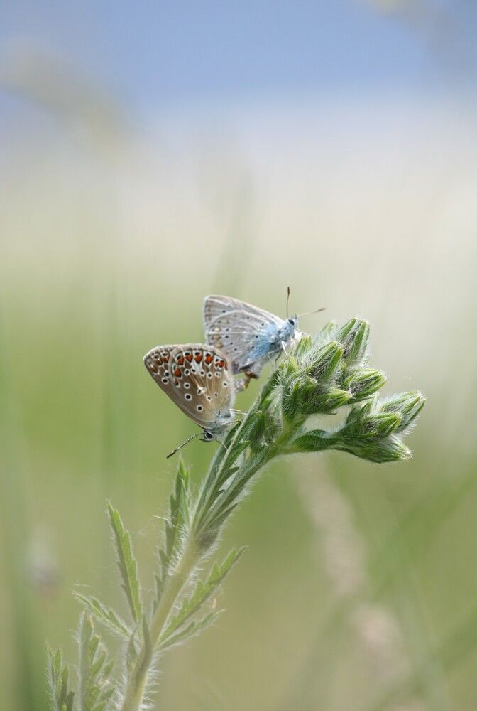 Photograph by Татьяна Шебаршенко