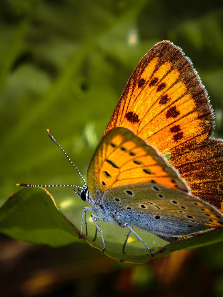 Photograph by Konstantin Martynov