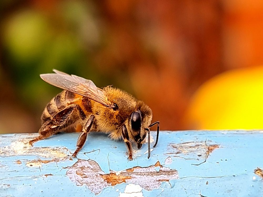 Photograph by Гельфман Галина