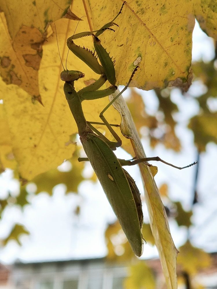 Photograph by Гельфман Галина