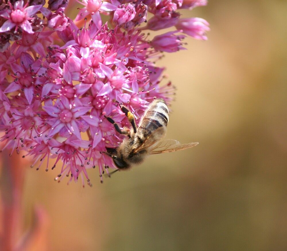 Фотография автора Татьяна Шебаршенко