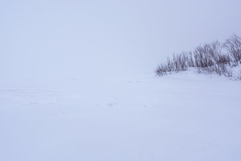 Photograph by Алексей Ильин