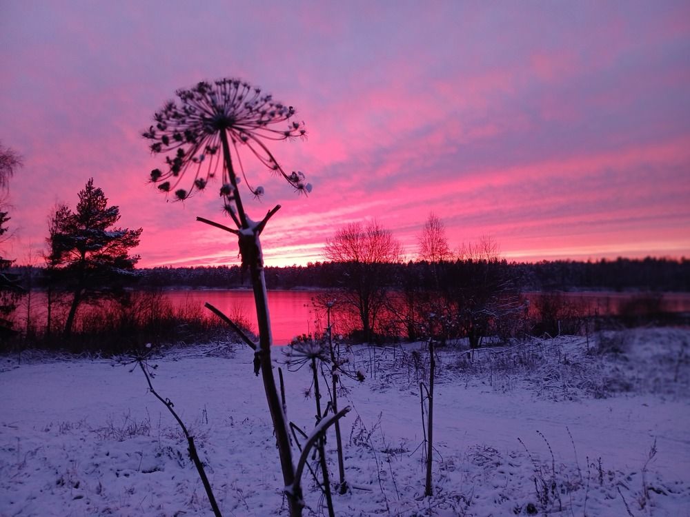 Photograph by Екатерина