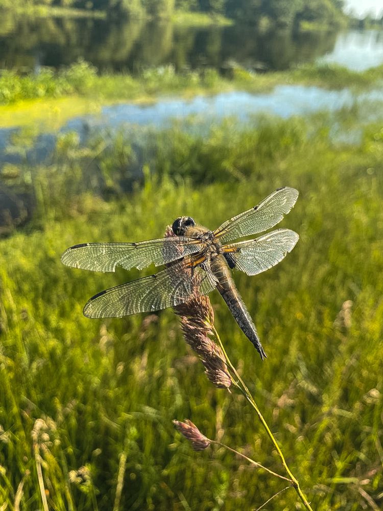 Photograph by Polina Pisar