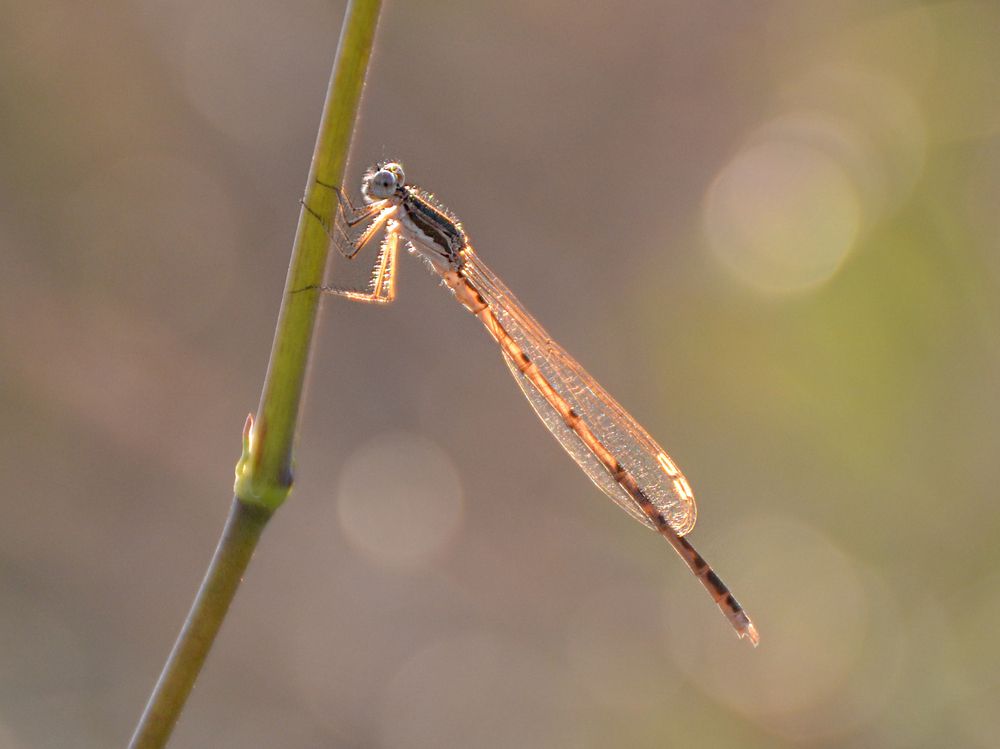 Photograph by Яна Щипицына