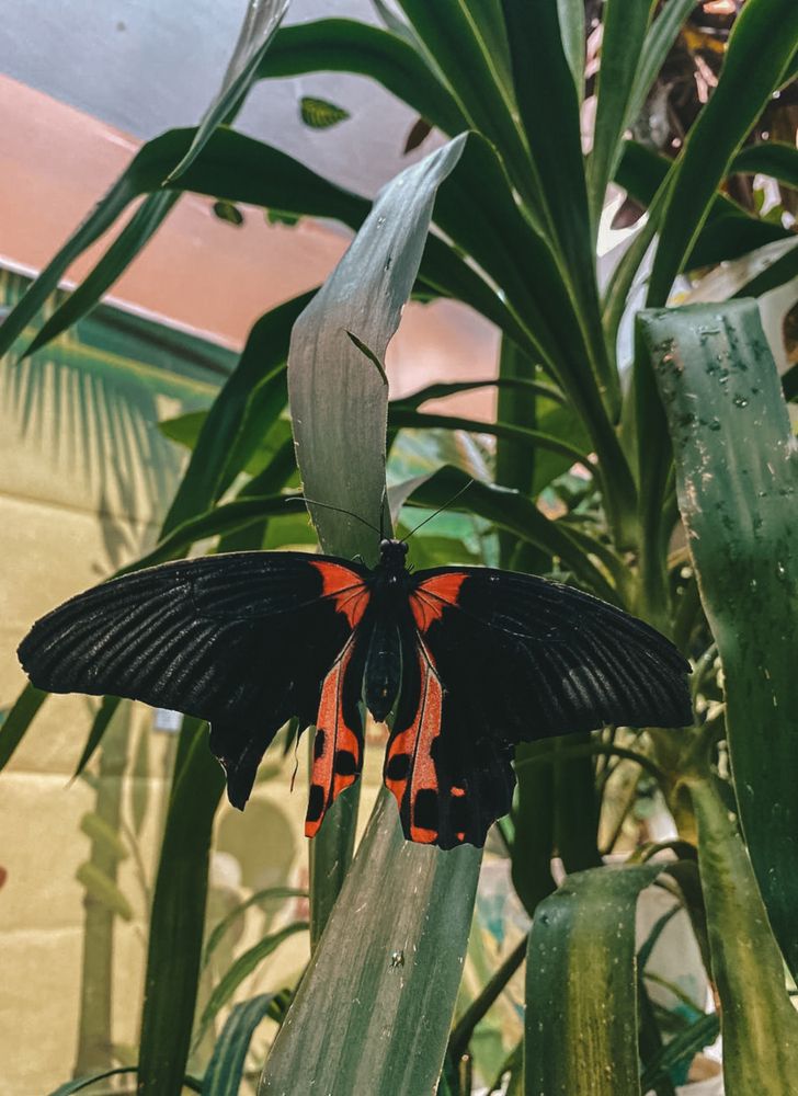 Photograph by Polina Pisar