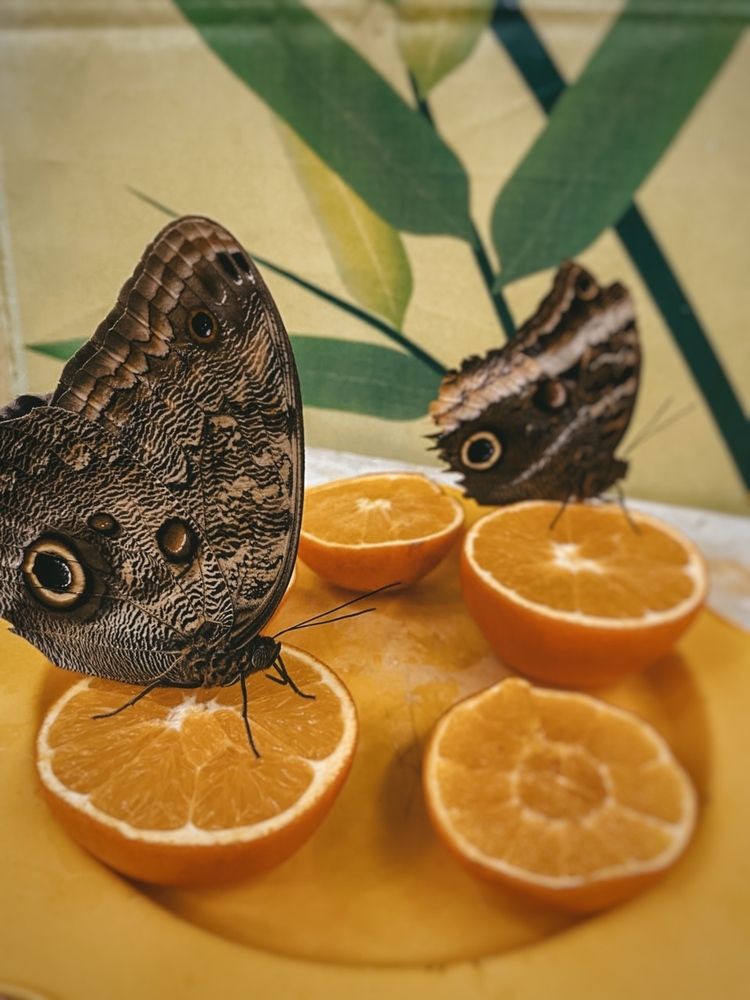 Photograph by Polina Pisar