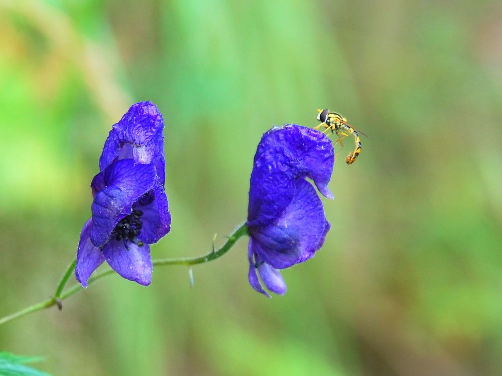 Photograph by Юрий Тимофеев