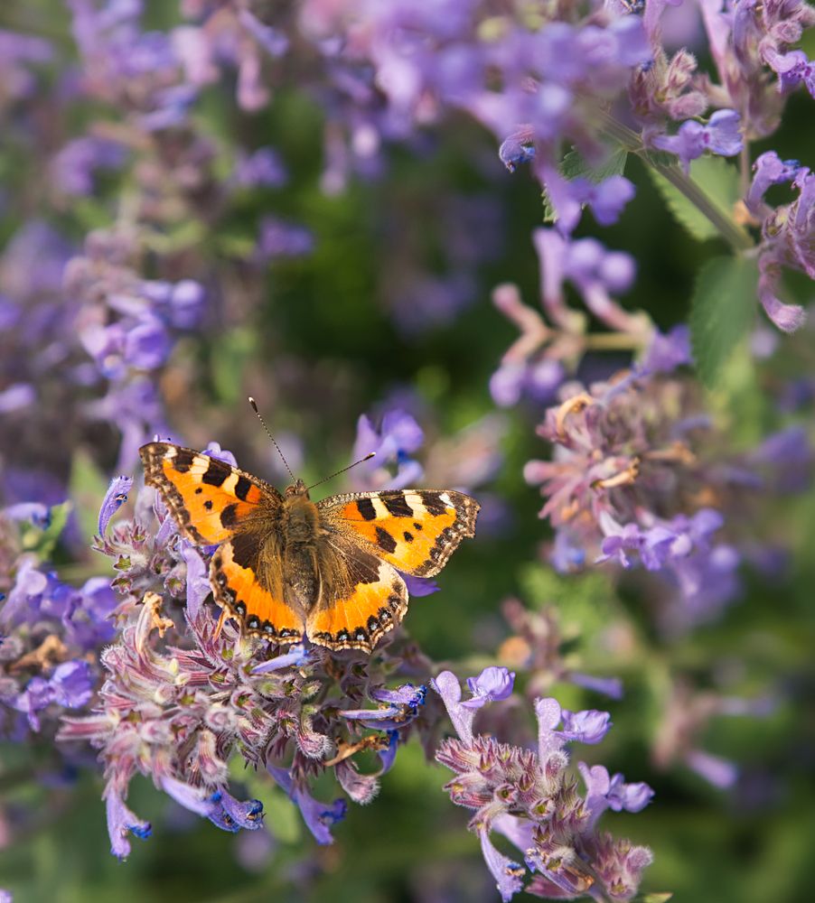 Photograph by Kulikova Albina