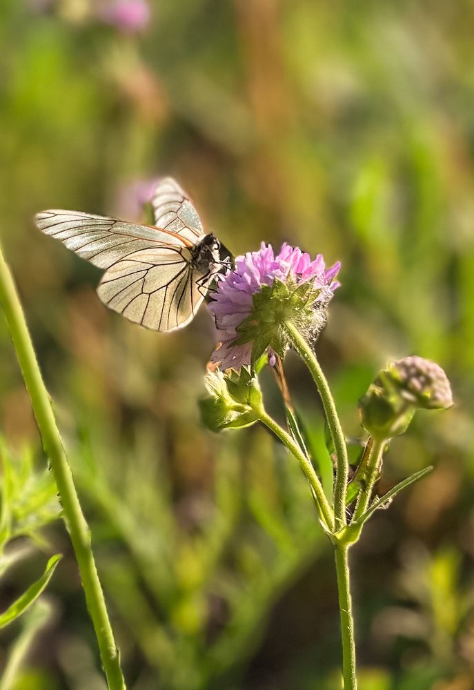 Photograph by Julia Andreeva