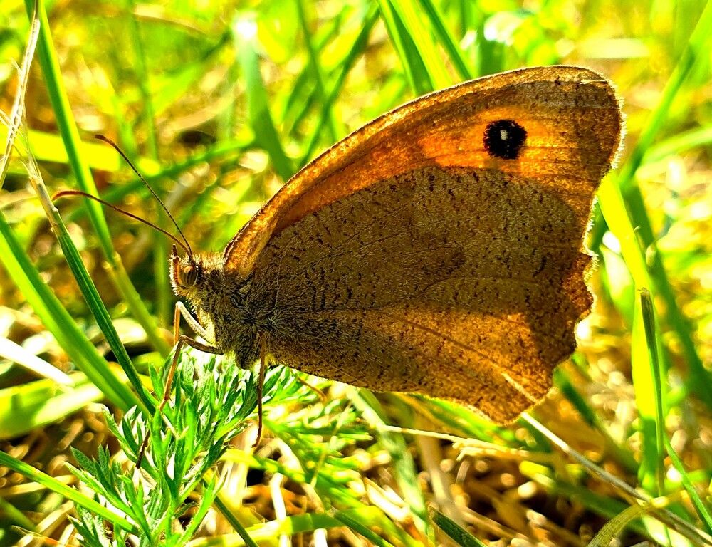 Photograph by Яна Галимуллина