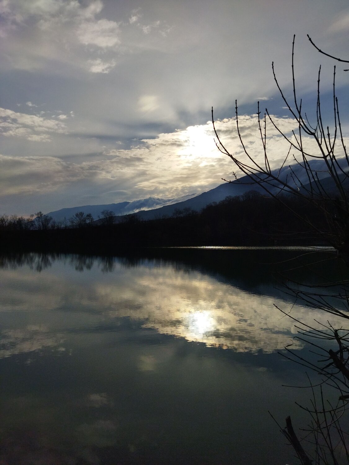 Photo #12088483