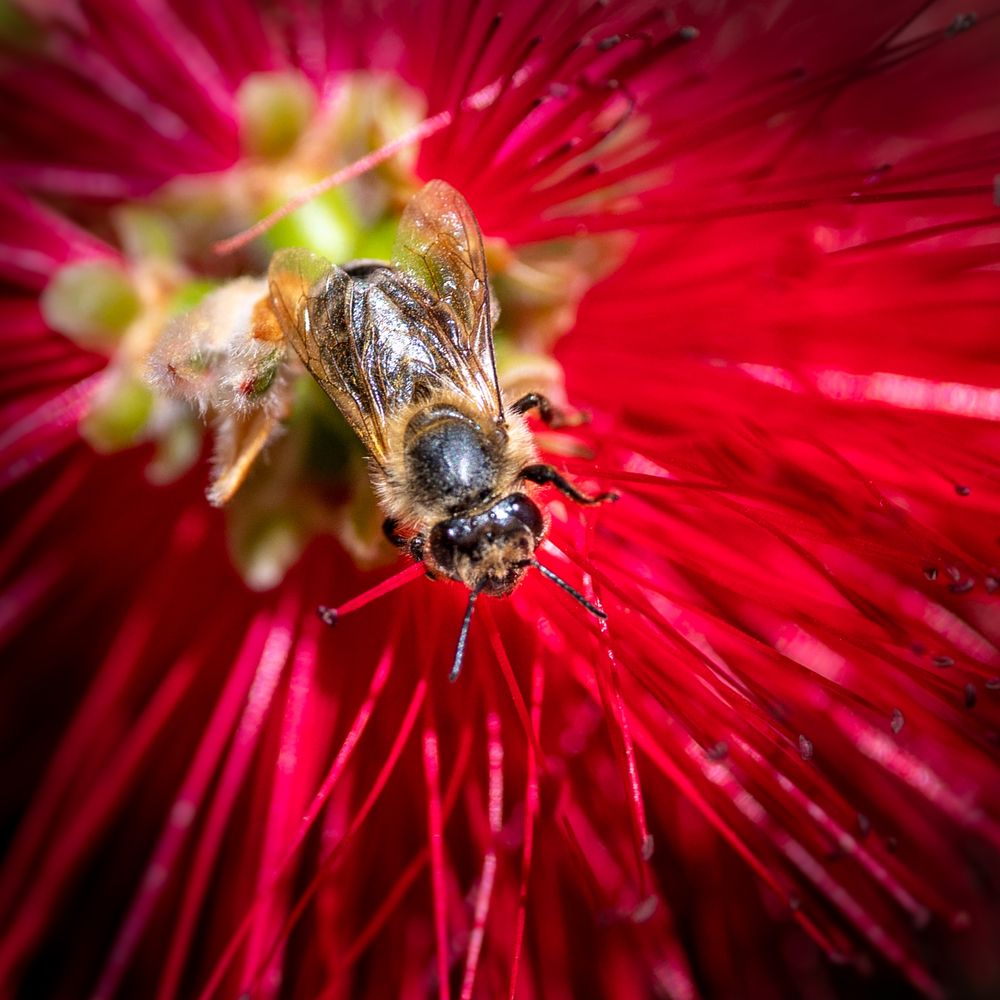 Photograph by Анна Стрелковская