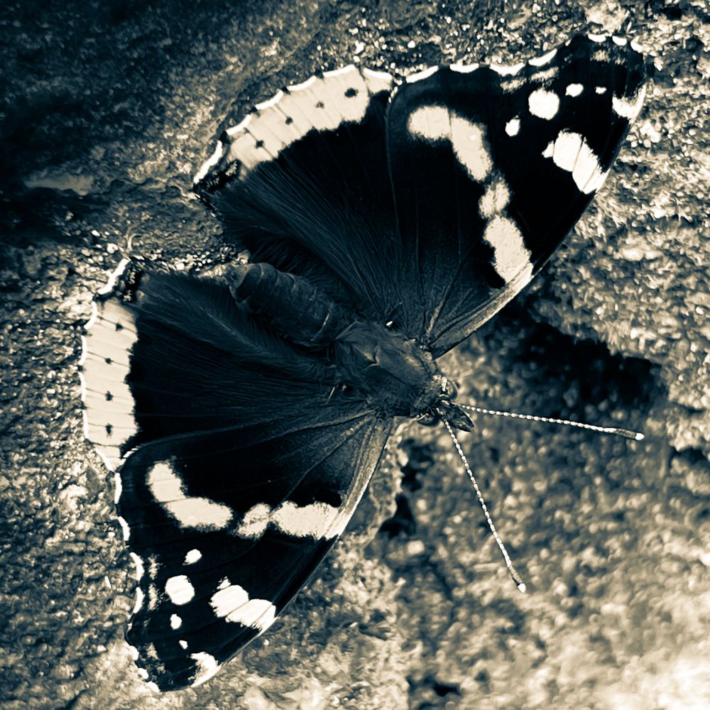 Photograph by Анна Стрелковская