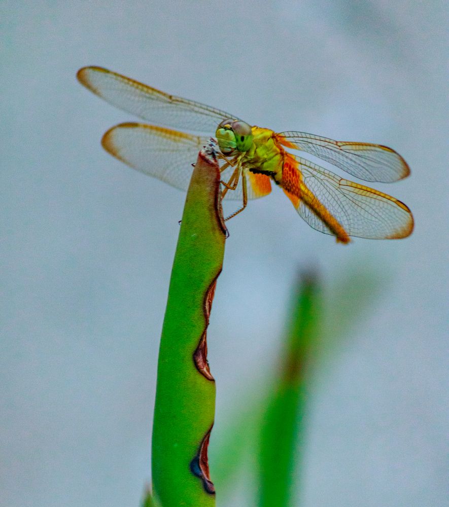 Photograph by Subhajit Basak