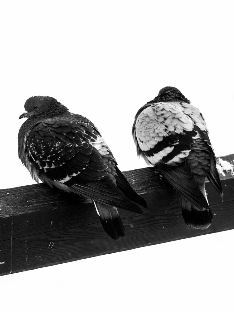 Photograph by Анна Любимова