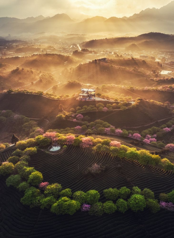 Photograph by WEIKAI CHEN