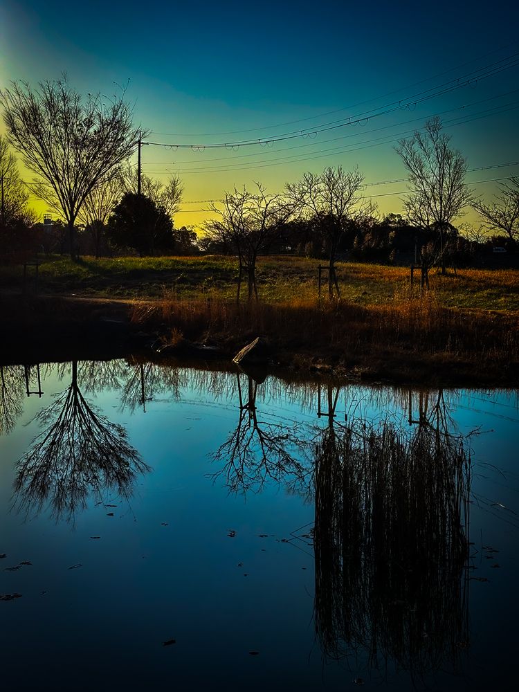 Фотография автора Mutsuaki